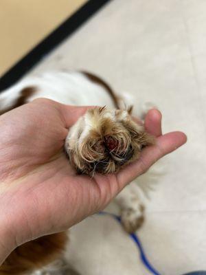 Blood on his nail area, blood streaks on the floor.