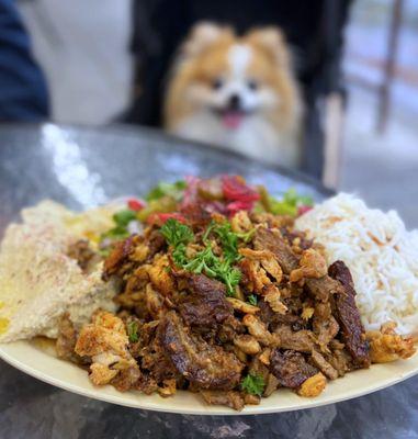 Lamb & Chicken Shawarma Plate w/ hummus, rice, salad, pickles, pita (missing) | $13.99