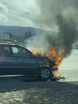 Thank goodness for insurance! Don't buy an auction car!