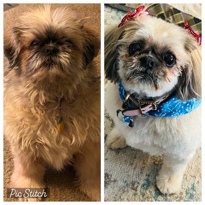 Before and after groom