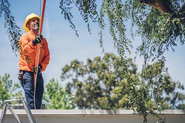 Our team of experts have years of experience in the tree service industry.