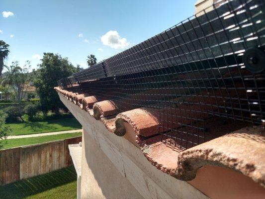 We provide Bird Control exclusion services for pigeons under your solar panels.