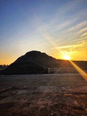 Mulch Pile