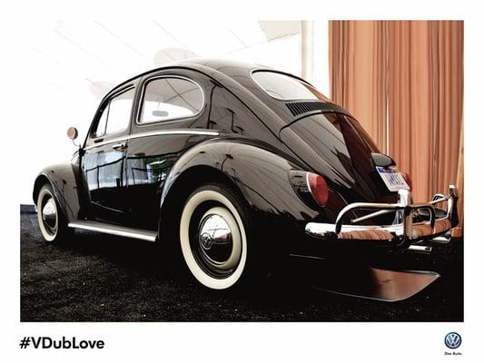 The 1964 Type 1 Beetle: timeless beauty, endless #VDubLove.