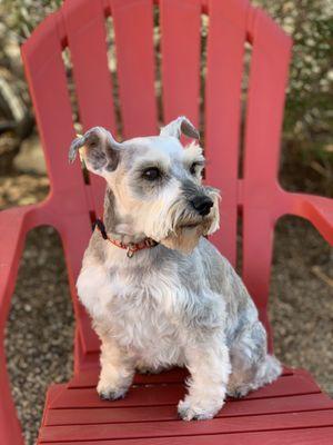 Our little bow legged girl looks beautiful and happy!