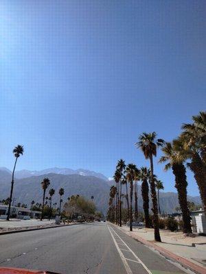 Many palmed tree lined streets with majestic mountains here!