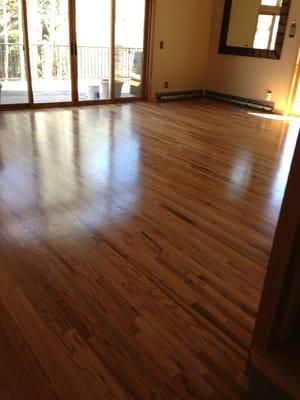 Love how the hardwoods shine thanks for refinishing with the glitsa finish- they look better than new