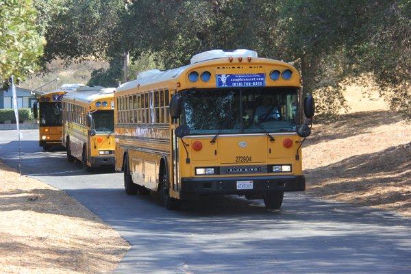 98% of campers travel to camp on our air-conditioned, seat belted buses driven by professional school bus drivers!