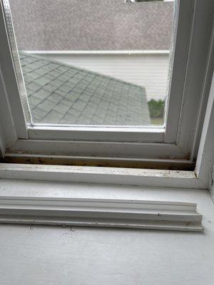 Water collecting in the window installed by Guys Glass and Mirror.