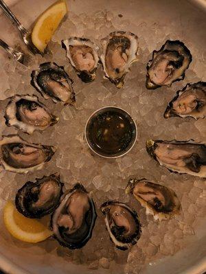 Oysters