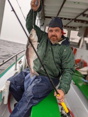 Haddock - average size for the end of May