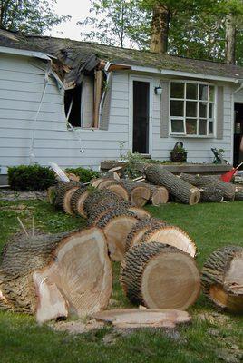 Storm Damage / Tree hit house