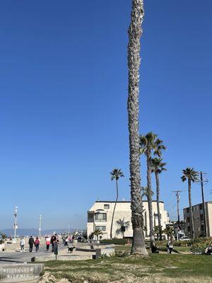 Hermosa Beach, close to Thrifty Wash.