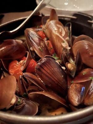 Mussels