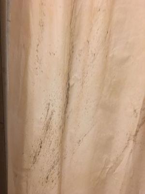 Filthy shower curtains