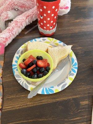 Kids sandwich with fruit