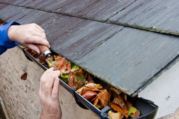 We also provide Gutter Services / Cleanings