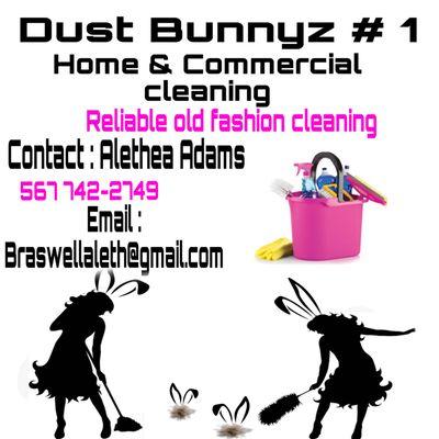 Dust Bunnyz