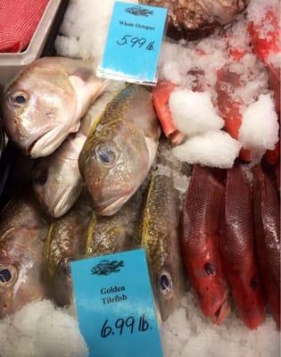 That Golden Tilefish has a hell of a face. All personality.