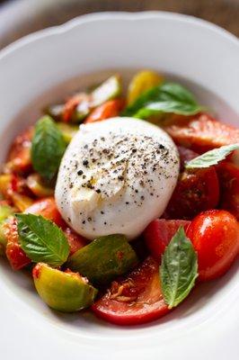 Heirloom Tomatoes & Burrata