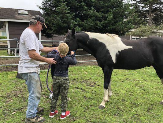 Learning how to put on the halter.