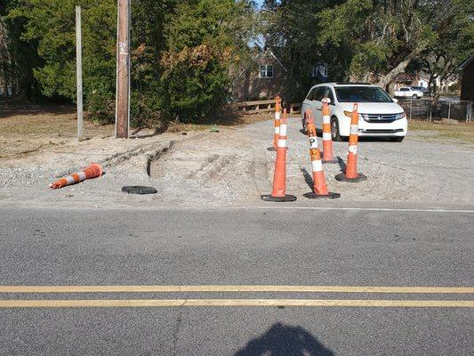 What Seagate tree did to my  Driveway They say that there so busy you need to textSo I text them 6 times in one day no response