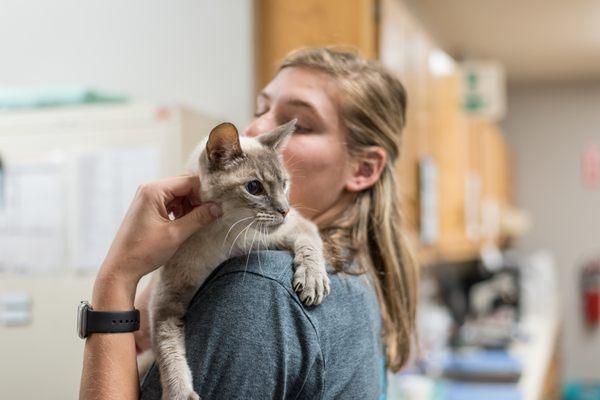 Assistant and a feline patient.