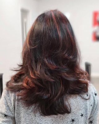 Hair Color Style Alpharetta Salon Desi