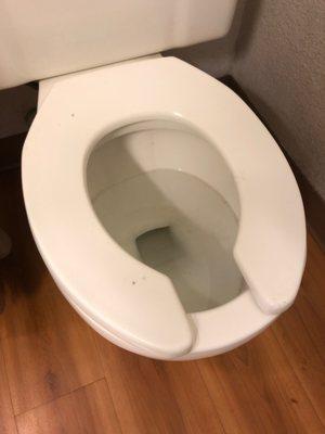 "Clean" toilet with cigarette burns