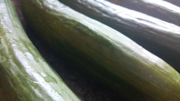 Fresh persian cukes