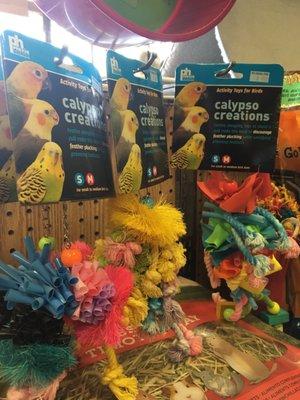 Bird activity toys