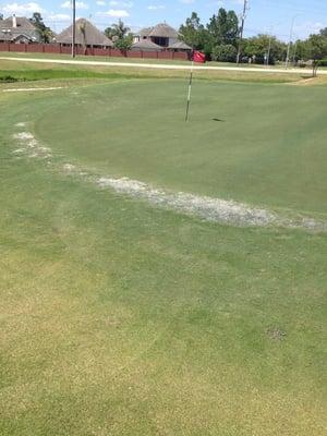 Every green had a moldy build up around it. Can't even tell where the fairway ends & where the green begins. VERY DISAPPOINTING.