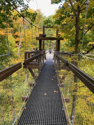 Canopy walk