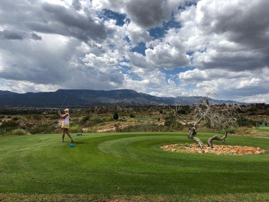 Lady's love our Teal Tees, fun yet challenging.