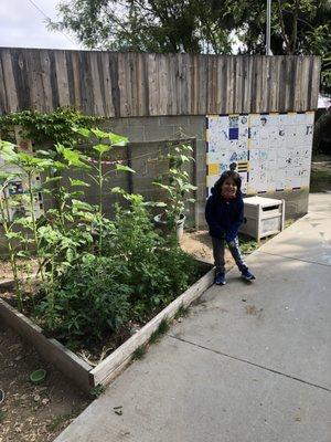 The kids practiced gardening skills