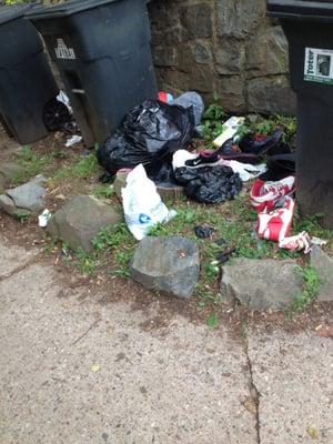 A TASTE of the "property" that was shown to us. All across the lawn were old shoes, stinky trash & a bag of USED MEDICAL ITEMS.