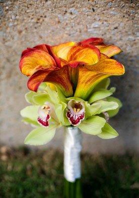 Orchids and callas!