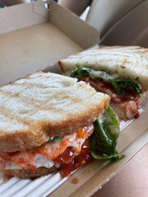 Spicy Italian Panini