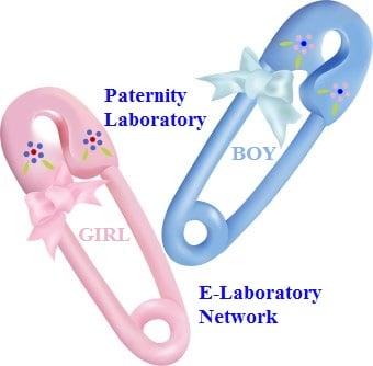 Paternity Testing In Palmetto, Georgia