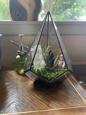 Terrarium I made with supplies bought from LRRH