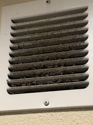 Bathroom vent