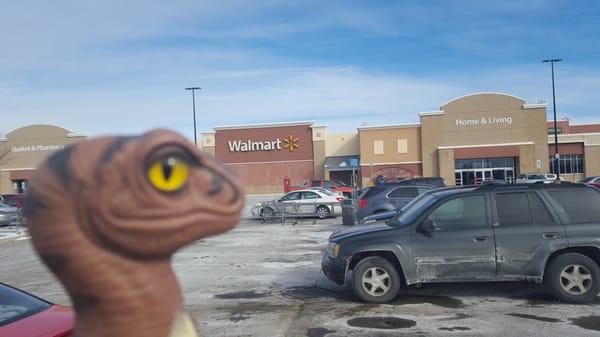 Bob the Raptor Says "Mammals come here for just about anything."