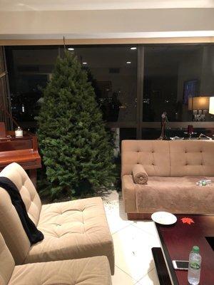 Christmas Trees