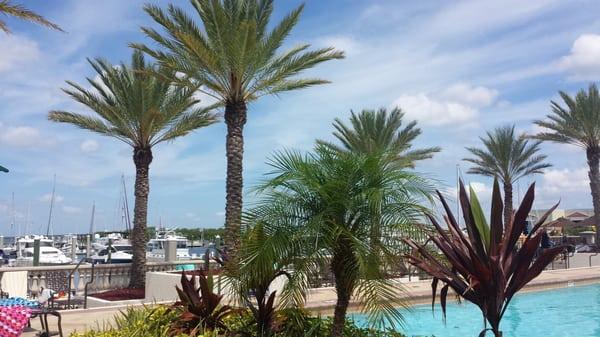 Beautiful views. Two large pools, plenty of slips.