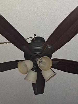 Ceiling fan w/lights