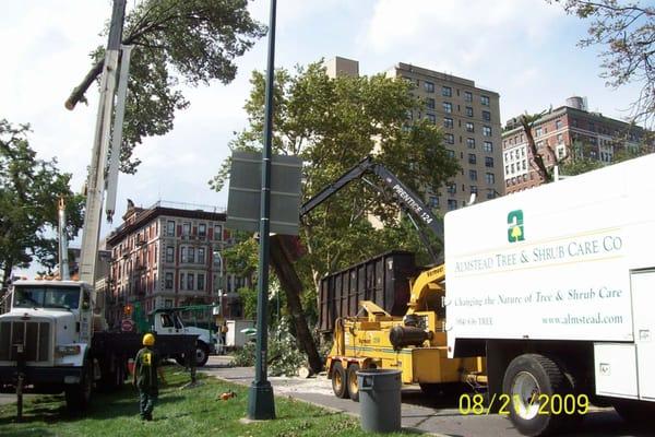 Almstead tree crew on a storm emergency cleanup site.