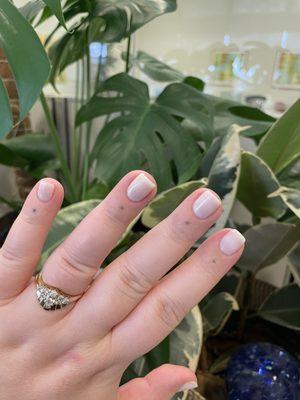 Gel Manicure, Semi-Sheer Off-White