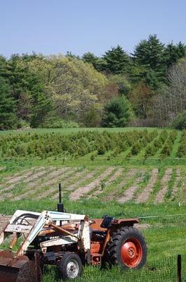 A view over the field at Hopestill Farm.