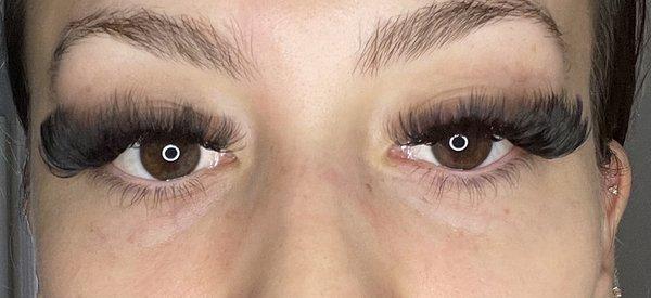 Mega Volume Lashes