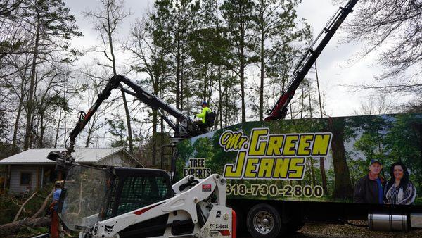 Mr. Green Jeans Tree Removal - EXPERT TREE SERVICE